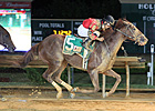 Take It Like a Man Upset Winner of Researcher Take It Like a Man Upset Winner of Researcher