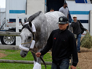 Setting the Scene on Preakness Day Setting the Scene on Preakness Day