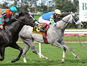 Points and Promise: Second-Crop Sires On Top Points and Promise: Second-Crop Sires On Top