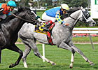 Take the Points to Shoot for Dubai World Cup