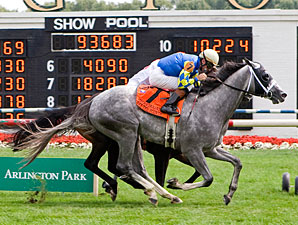 Take the Points to Run in Dubai Duty Free Take the Points to Run in Dubai Duty Free