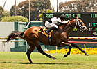 Tale of a Champion Makes Grade in Whittingham