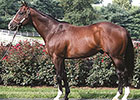 Tale of Ekati Represented by First Winner Tale of Ekati Represented by First Winner