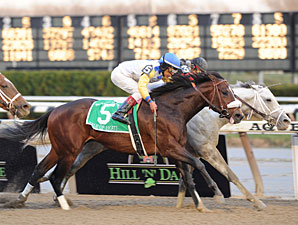 Tale of Ekati Wins Cigar Mile on DQ Tale of Ekati Wins Cigar Mile on DQ