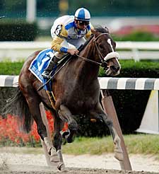 Tale of Ekati, Benny the Bull Drill for Breeders' Cup Tale of Ekati, Benny the Bull Drill for Breeders' Cup