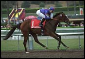 Washington-bred Tali'sluckybusride Best in Oak Leaf Stakes Washington-bred Tali'sluckybusride Best in Oak Leaf Stakes