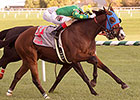 Talk Show Host Nabs Ben's Cat in Million Turf Talk Show Host Nabs Ben's Cat in Million Turf