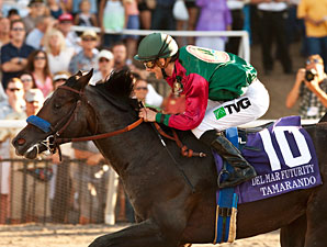 Tamarando's Futurity Lifts Bertrando's Legacy Tamarando's Futurity Lifts Bertrando's Legacy