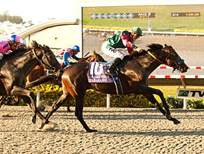 Tamarando Leads 11 Juveniles in FrontRunner Tamarando Leads 11 Juveniles in FrontRunner