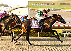 Tamarando Leads 11 Juveniles in FrontRunner Tamarando Leads 11 Juveniles in FrontRunner