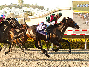 Tamarando Holds Class Edge in Cal Cup Derby Tamarando Holds Class Edge in Cal Cup Derby
