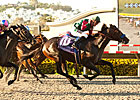Tamarando Holds Class Edge in Cal Cup Derby Tamarando Holds Class Edge in Cal Cup Derby