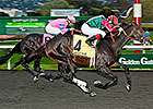 Tamarando, We Miss Artie Top Spiral Probables Tamarando, We Miss Artie Top Spiral Probables