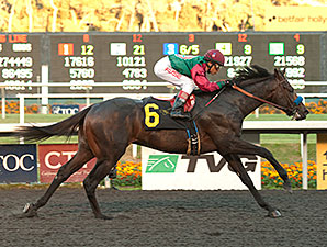 CashCall Next for Real Quiet Winner Tamarando CashCall Next for Real Quiet Winner Tamarando