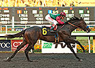 CashCall Next for Real Quiet Winner Tamarando CashCall Next for Real Quiet Winner Tamarando