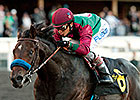 Hollendorfer Uses Option in El Camino Real Hollendorfer Uses Option in El Camino Real