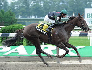 Englehart Makes BC Debut With Tamarind Hall Englehart Makes BC Debut With Tamarind Hall