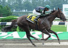 Tamarind Hall Leads Bed o'Longshots Tamarind Hall Leads Bed o'Longshots