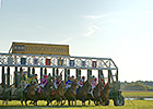Stevens, Temeraine Tally in Kentucky Turf Cup Stevens, Temeraine Tally in Kentucky Turf Cup