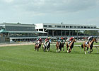 Tampa Bay to Provide Calder Horse Shuttle Tampa Bay to Provide Calder Horse Shuttle