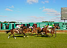 Tampa Bay Tops Again in FL Host-Track Battle Tampa Bay Tops Again in FL Host-Track Battle