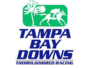 Tampa Veterinarians Must Pay to Play Tampa Veterinarians Must Pay to Play