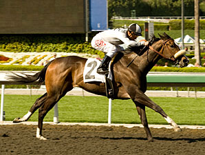Tanda Heads 10 Fillies Set for Railbird Tanda Heads 10 Fillies Set for Railbird