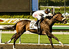 Tanda Heads 10 Fillies Set for Railbird Tanda Heads 10 Fillies Set for Railbird