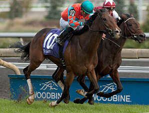 Late-Running Tannery Takes E.P. Taylor Stakes Late-Running Tannery Takes E.P. Taylor Stakes