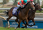 Late-Running Tannery Takes E.P. Taylor Stakes Late-Running Tannery Takes E.P. Taylor Stakes
