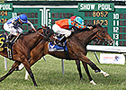 New York Stakes Looks Like Three-Horse Race New York Stakes Looks Like Three-Horse Race
