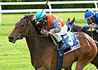 Filly Tannery, Hyper to Tangle in Red Smith Filly Tannery, Hyper to Tangle in Red Smith