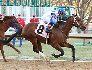 Tanzanite Cat Handy Winner of Smarty Jones Tanzanite Cat Handy Winner of Smarty Jones