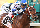 Tanzanite Cat Puts Speed to Test at Sunland Tanzanite Cat Puts Speed to Test at Sunland