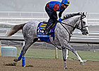 Outstanding Field Set for CashCall Futurity Outstanding Field Set for CashCall Futurity