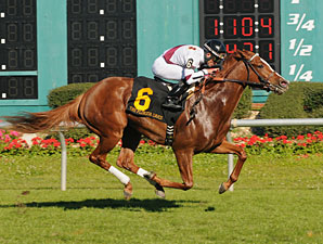Tapicat Makes the Grade in Florida Oaks Tapicat Makes the Grade in Florida Oaks