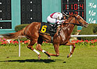 Tapicat Makes the Grade in Florida Oaks Tapicat Makes the Grade in Florida Oaks