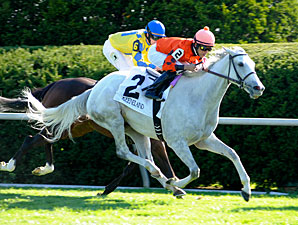 Tapitsfly Edges Daisy Devine in First Lady Tapitsfly Edges Daisy Devine in First Lady