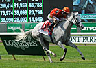 Tapitsfly Wires a Tough Just a Game Field