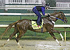 Kentucky Derby News Update for April 28, 2014 Kentucky Derby News Update for April 28, 2014