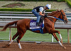 Tapiture Sailing Well into BC Dirt Mile Tapiture Sailing Well into BC Dirt Mile
