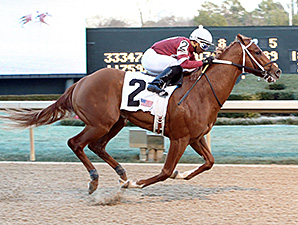 Tapiture Strides on in Southwest Tapiture Strides on in Southwest