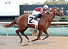 Tapiture Strides on in Southwest Tapiture Strides on in Southwest