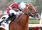 Steve Haskin's Derby Dozen 2/17/2014 Steve Haskin's Derby Dozen 2/17/2014