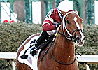 Tapiture Breezes for Rebel Stakes Tapiture Breezes for Rebel Stakes