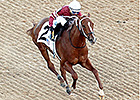 Tapiture in Sharp Drill For Arkansas Derby Tapiture in Sharp Drill For Arkansas Derby