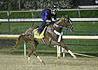 Tapiture Storms Through Half-Mile Breeze Tapiture Storms Through Half-Mile Breeze