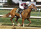 Tapiture, Walt Work Between Races at Oaklawn Tapiture, Walt Work Between Races at Oaklawn