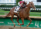 Favored Tapiture Takes Matt Winn With Ease Favored Tapiture Takes Matt Winn With Ease