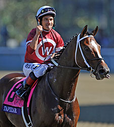 Tapizar to Stand at Gainesway Tapizar to Stand at Gainesway